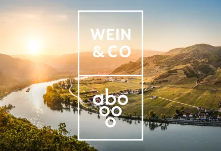 Malerische Weinlandschaft bei Sonnenuntergang mit Fluss und Hügeln im Hintergrund.