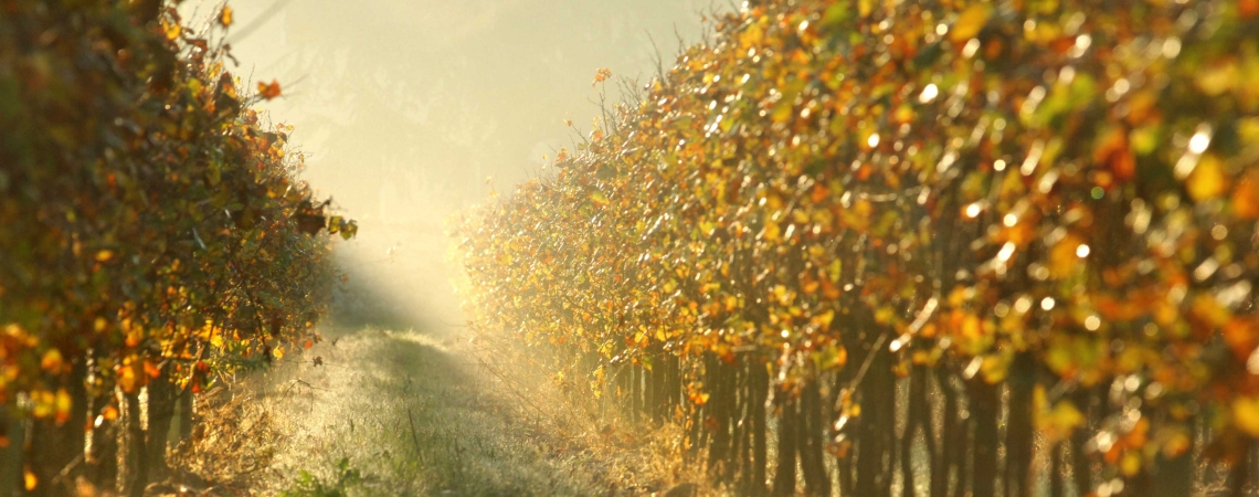 Franciacorta