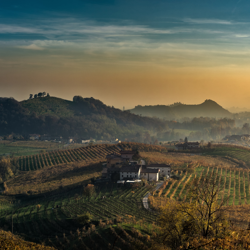 Prosecco Gebiet