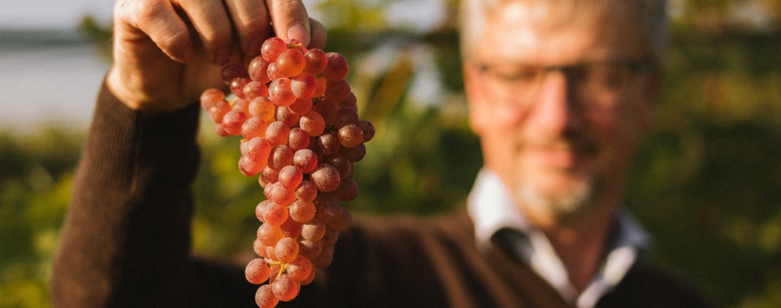 Roter Veltliner (c)Weingut Fritz