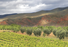 Spanien Rioja iStock 66743721 XLARGE