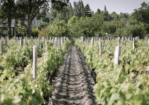 bdx 2023 header