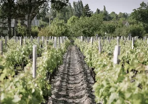 bdx 2023 header