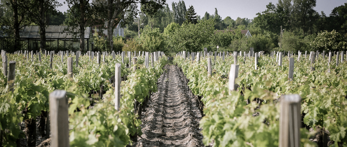 bdx 2023 header
