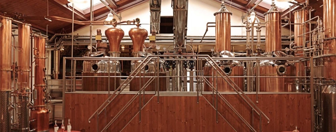 grappa