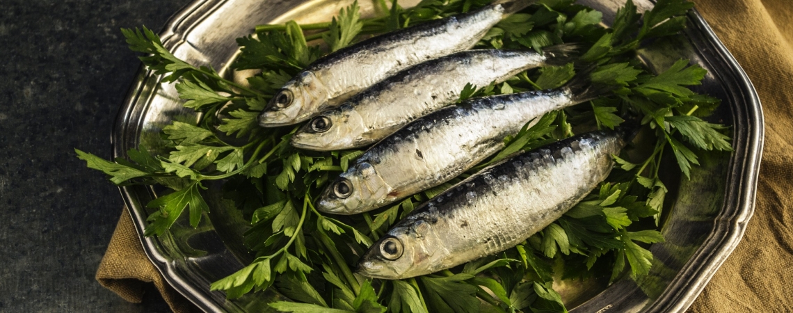 sardine