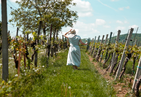 19 winzerpicknick 2022 feichtinger