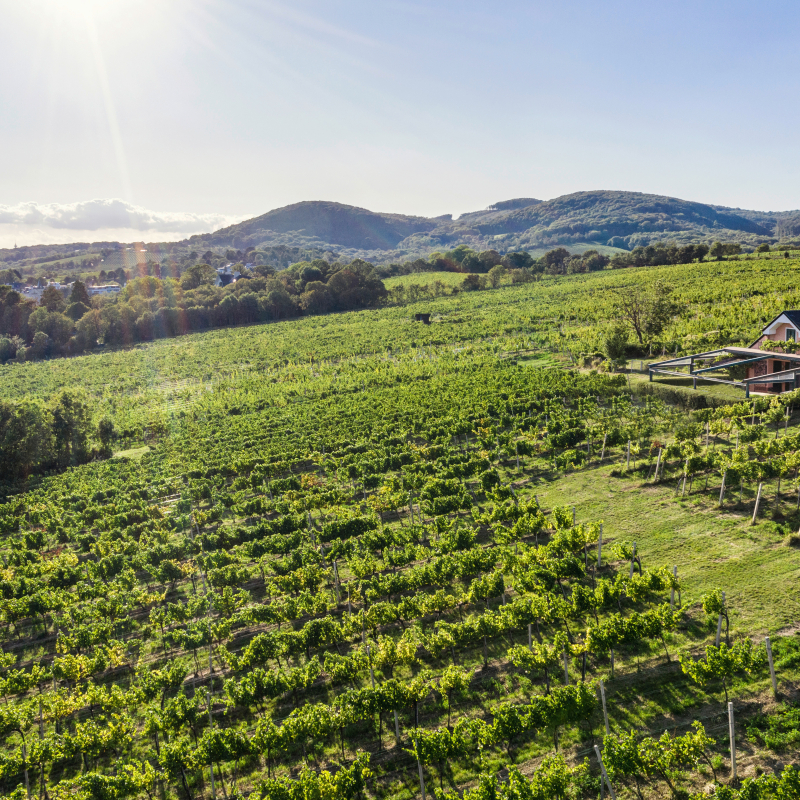 Rotes Haus Preussen Vogelperspektive