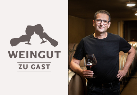 Weingut Schneider