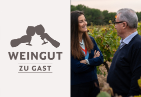 Zwei Personen in einem Weinberg im Gespräch, lächelnd und entspannt.