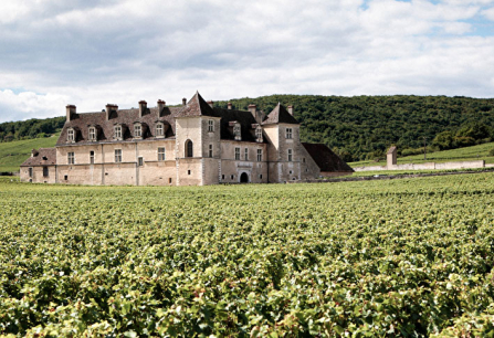 Historisches Schloss umgeben von üppigen Weinbergen unter bewölktem Himmel.