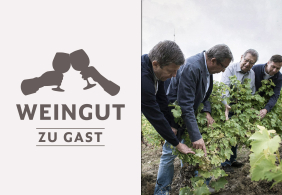 Logo mit anstoßenden Gläsern, daneben vier Männer inspizieren Weinreben im Freien.