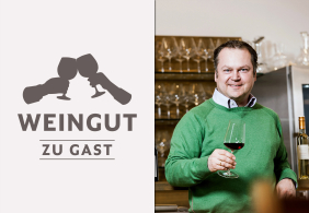 Mann in grünem Pullover hält Weinglas, Regale mit Gläsern im Hintergrund.