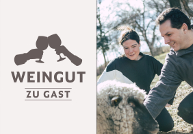 Links Weingut-Logo, rechts zwei Personen streicheln ein Schaf.