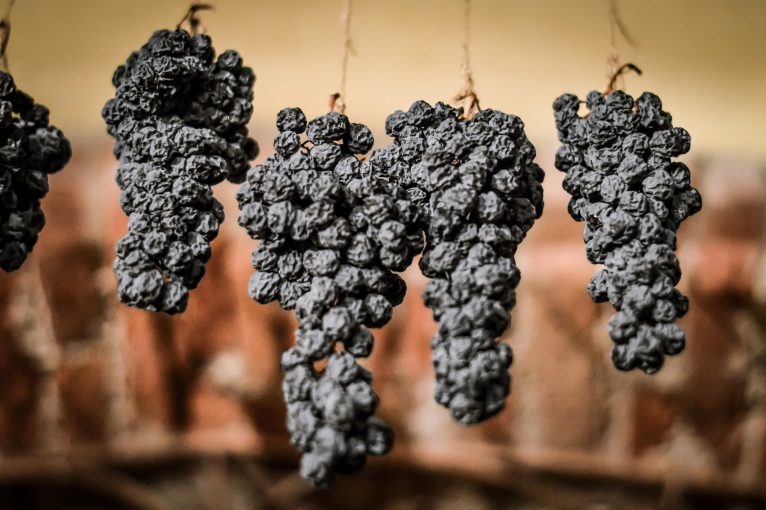 Fünf hängende Trauben aus getrockneten, dunkelblauen Beeren vor unscharfem Hintergrund.