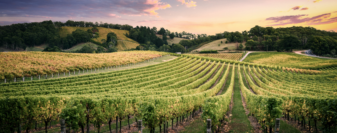 BarossaValley