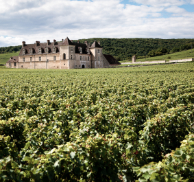 Burgund.jpg
