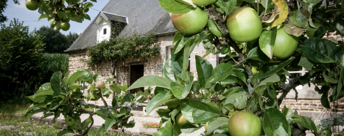Calvados
