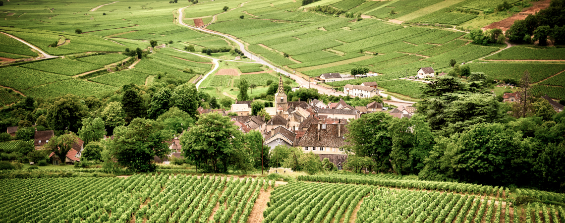 Chablis.jpg