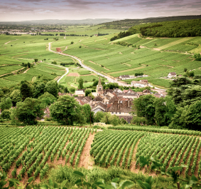 Chablis.jpg