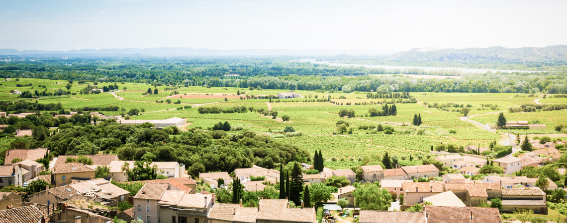 Chateauneuf-du-Pape.jpg