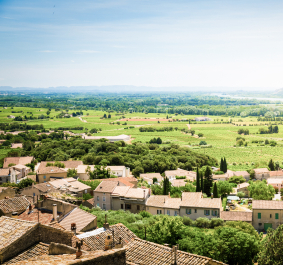 Chateauneuf-du-Pape.jpg