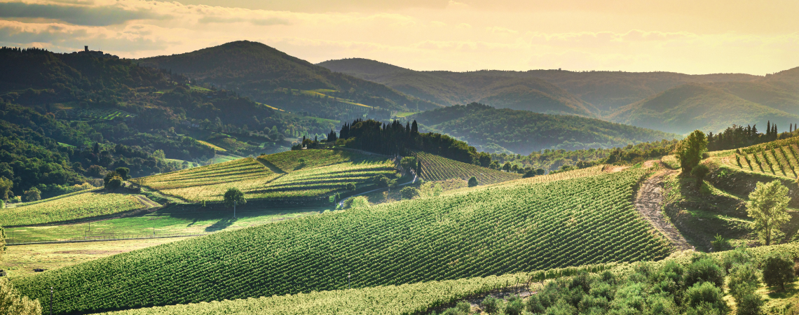 chianti