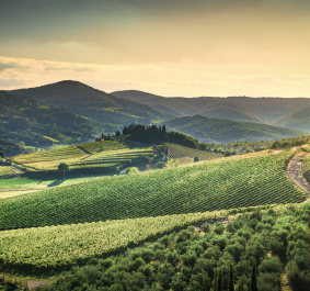 chianti