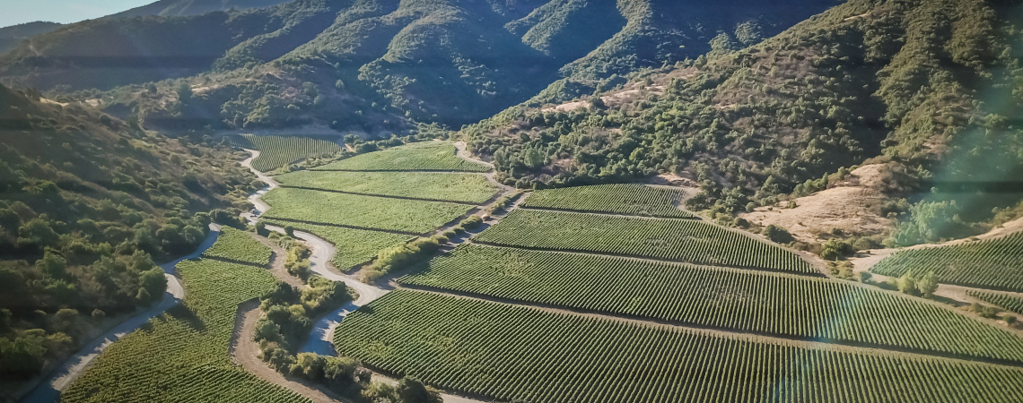Colchagua Valley