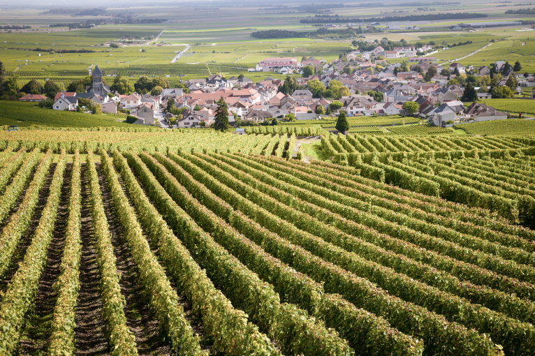 Cote-de-Beaune.jpg
