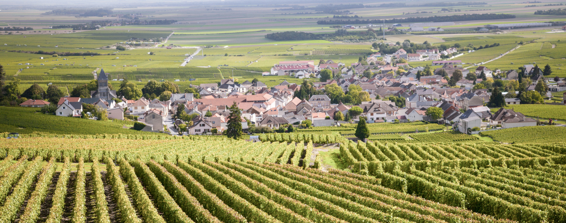 Cote-de-Beaune.jpg