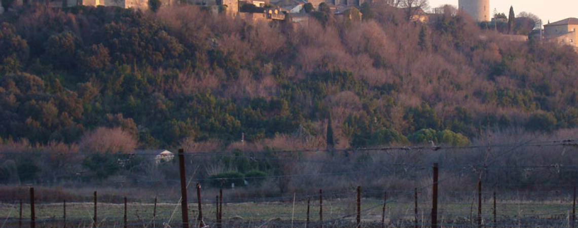Cotes-de-Castillon.jpg