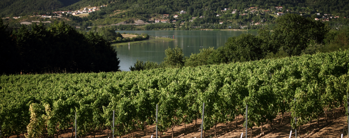 Cotes-du-Rhone_2.jpg