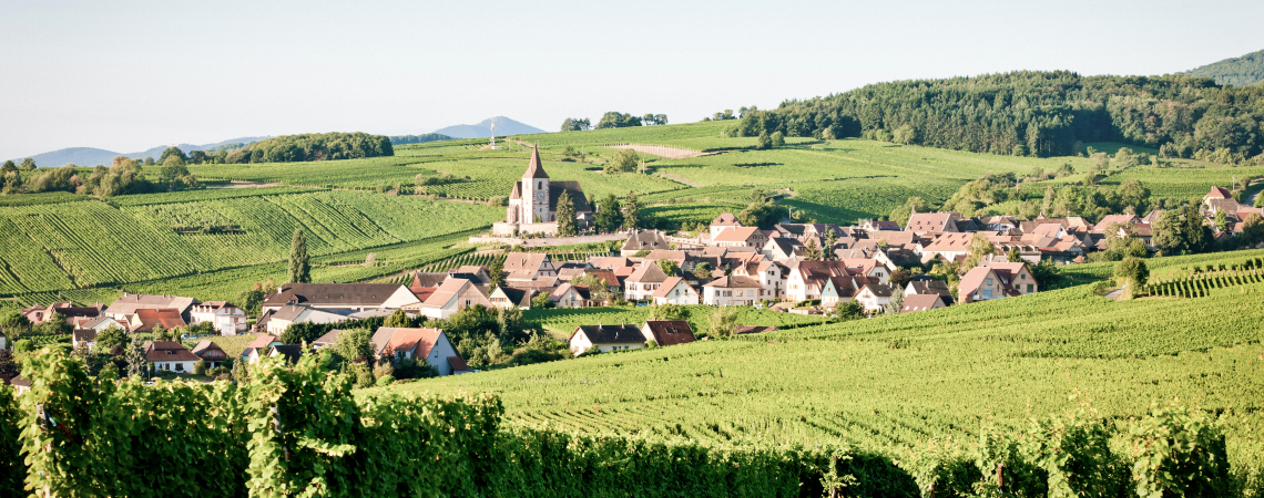 Elsass.jpg