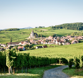 Elsass.jpg