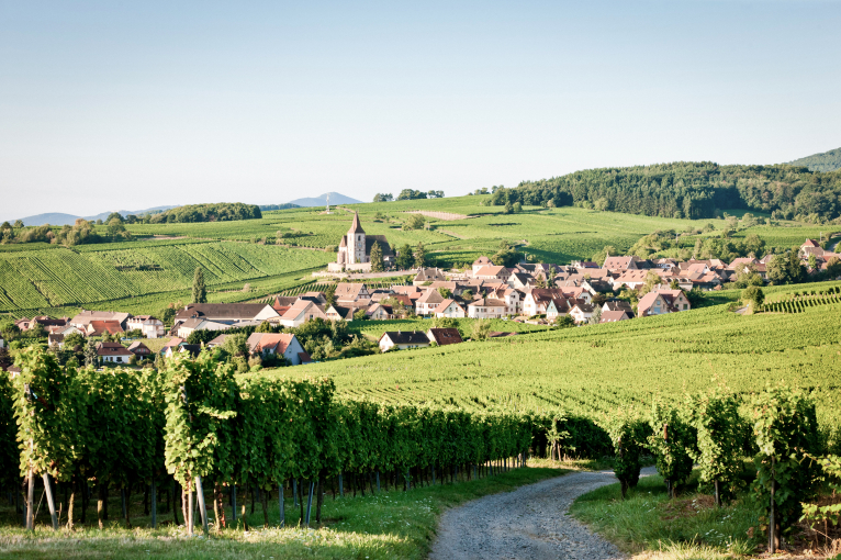Elsass.jpg