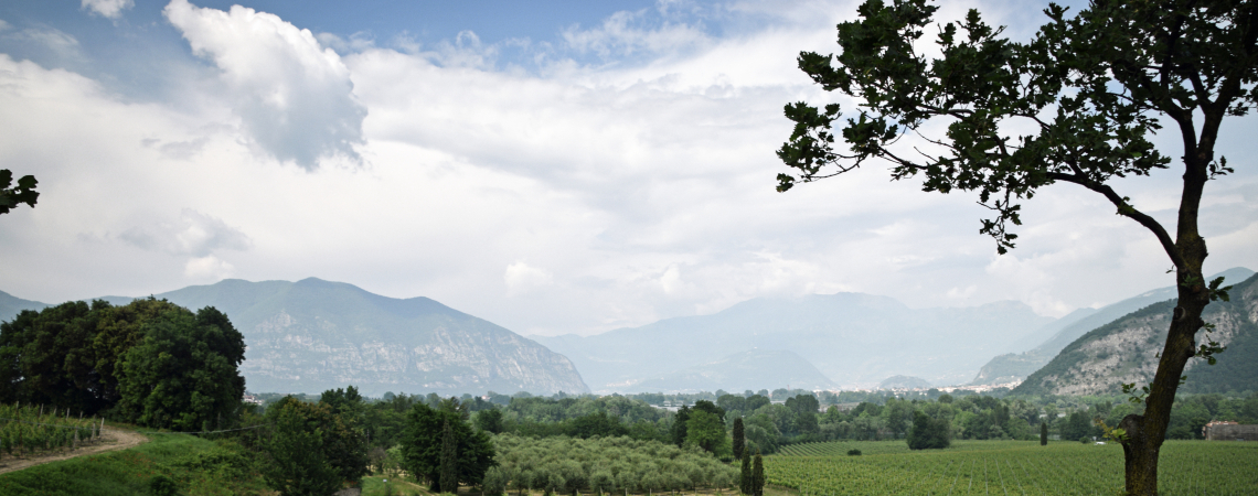 Franciacorta