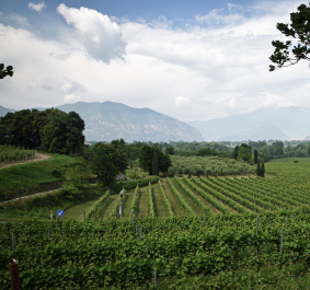 Franciacorta