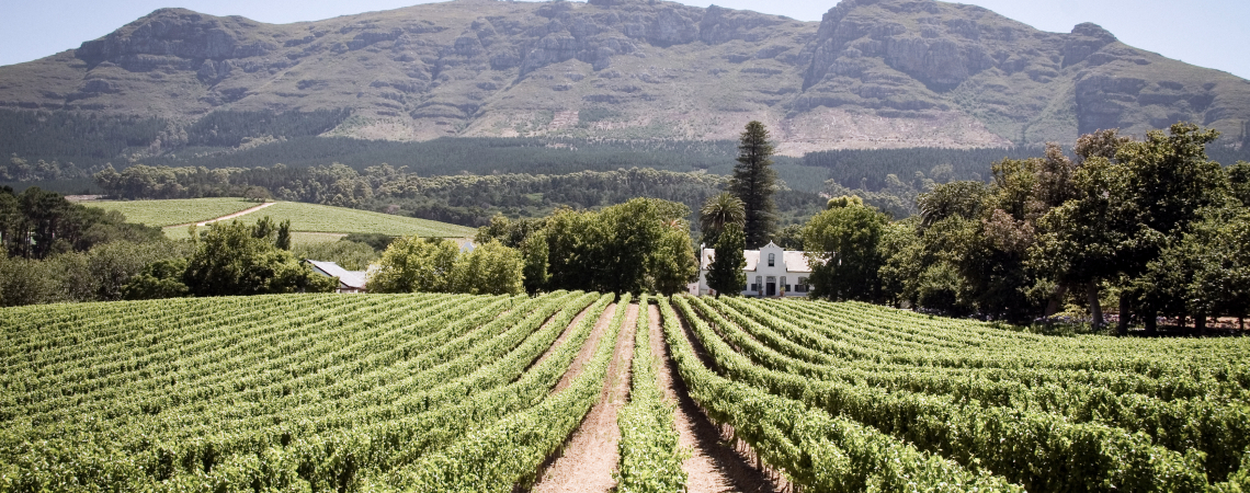 Franschhoek.jpg