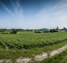 Fronsac