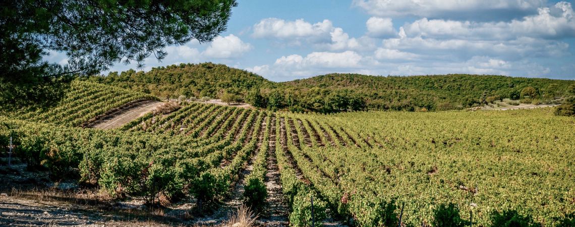 Gigondas