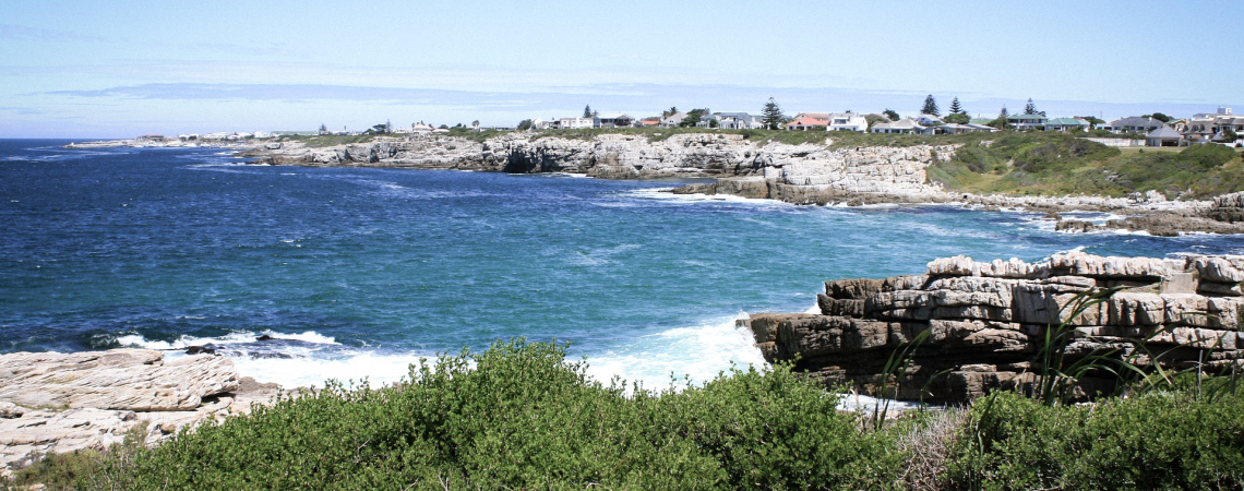 Hermanus