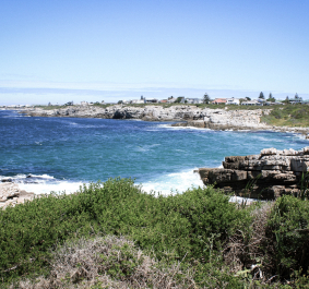Hermanus