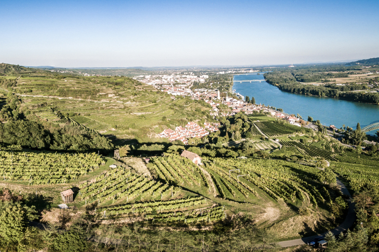 Weinberge auf sanften Hügeln mit Fluss und Stadt im Hintergrund, blauer Himmel.
