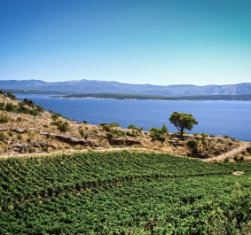 Kroatien