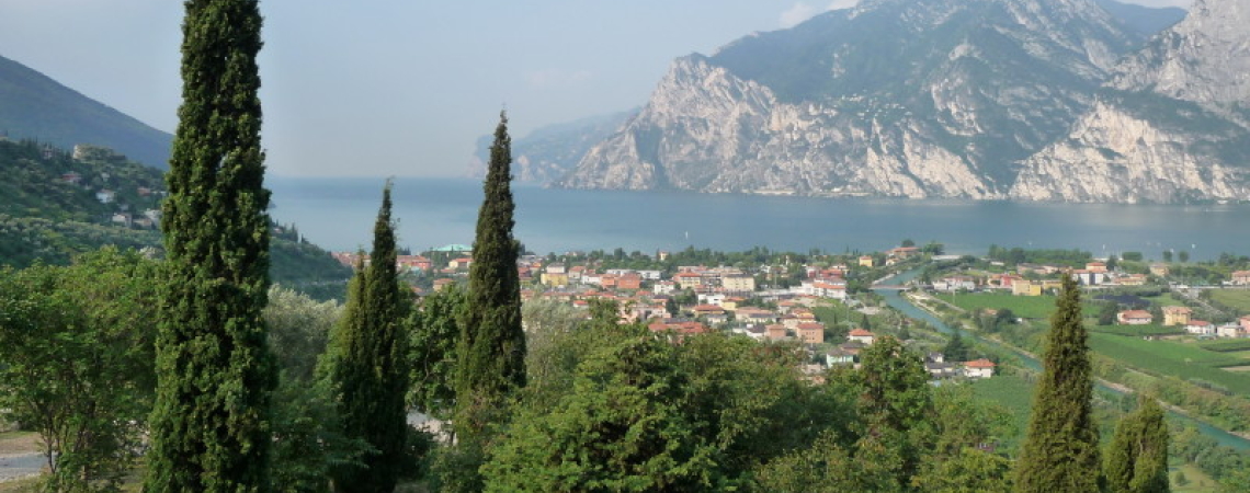 Lambrusco-Reggiano.jpg