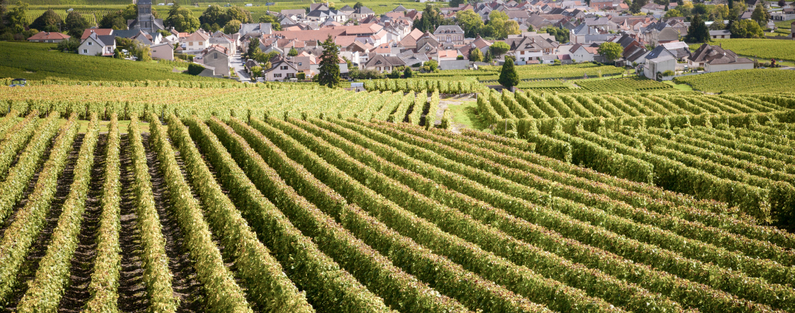 Meursault