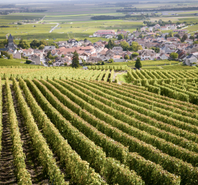 Meursault