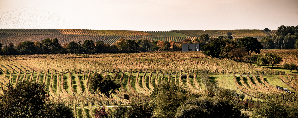 Mittelburgenland
