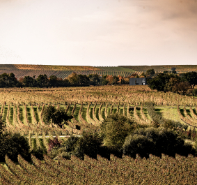 Mittelburgenland